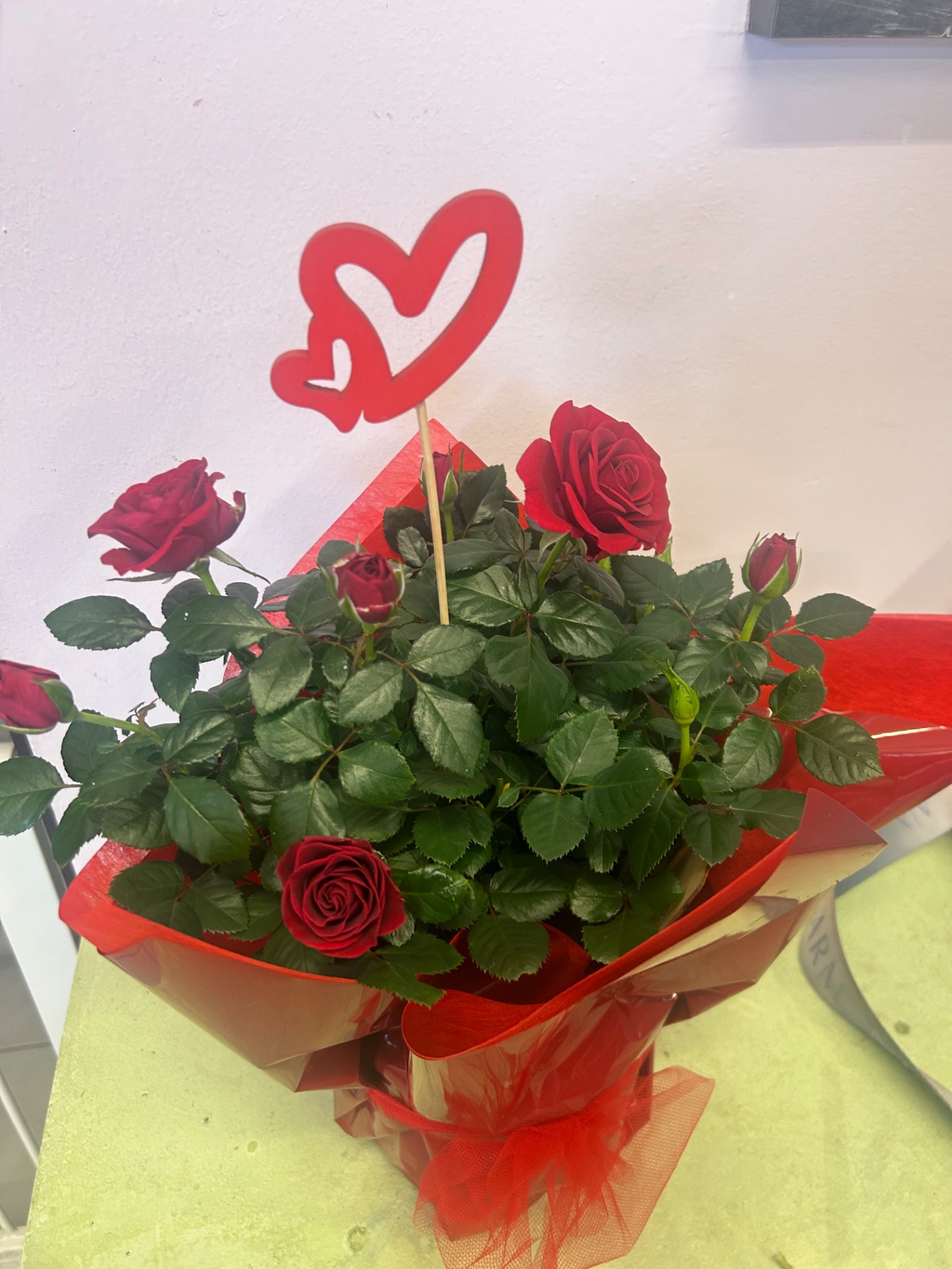 Rosa