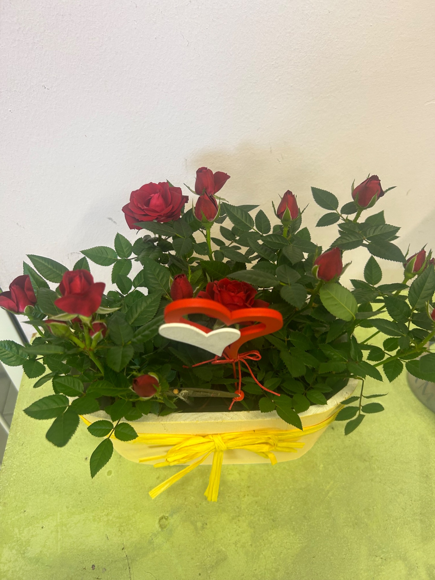 Composizione rosa
