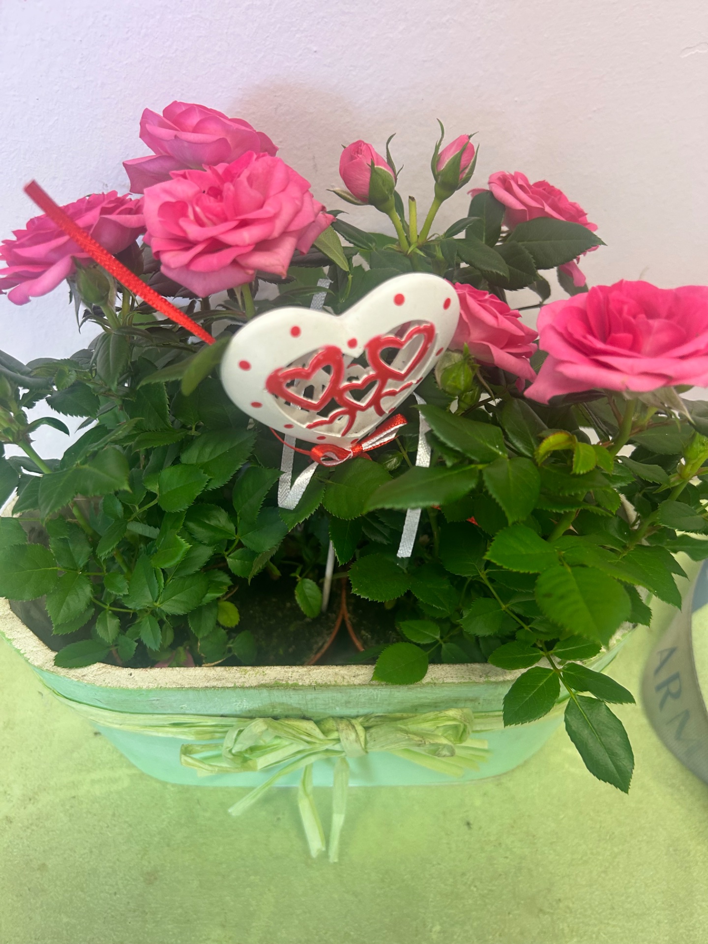 Composizione rose