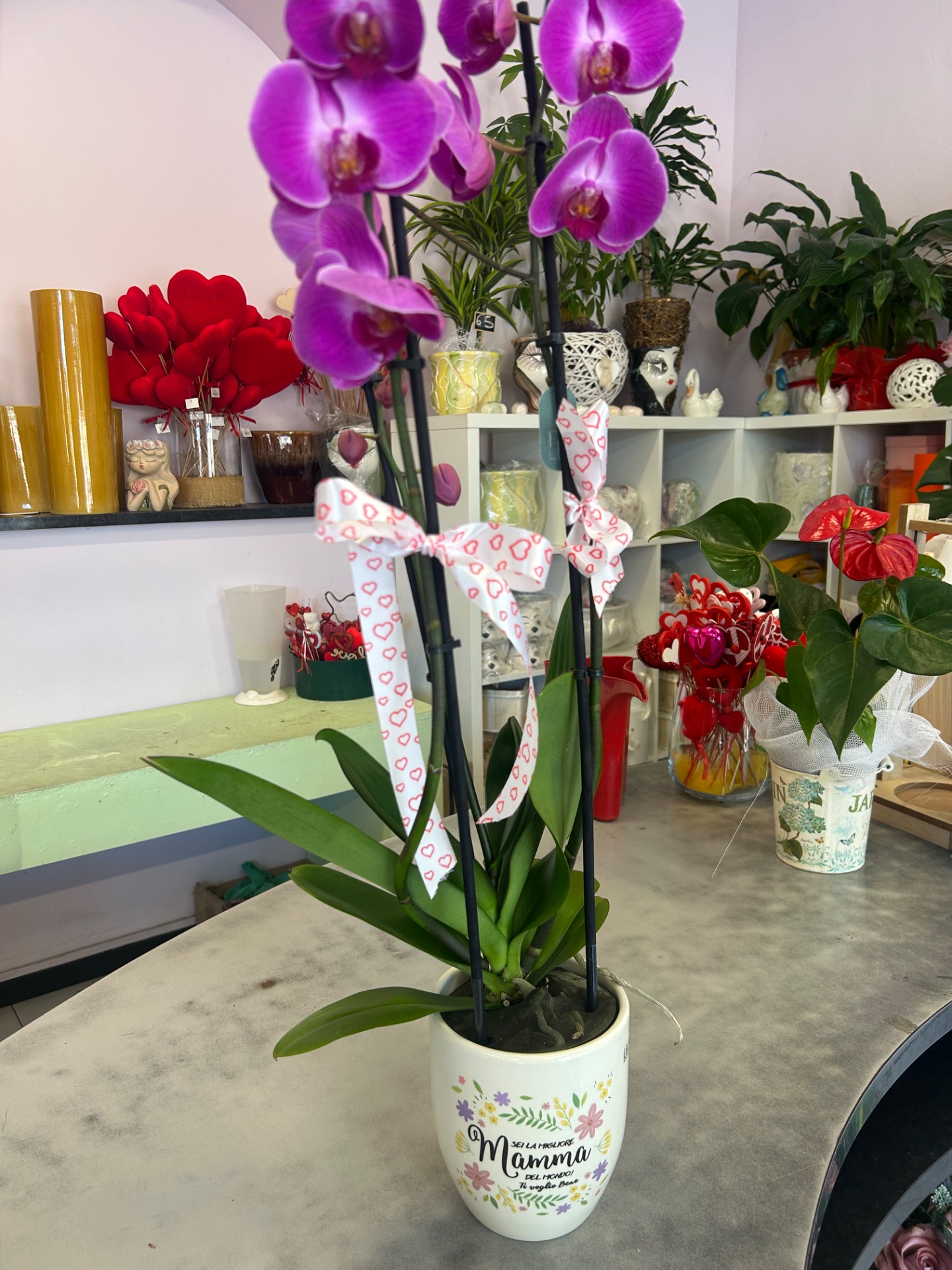 Orchidea con vaso dedicato alla mamma