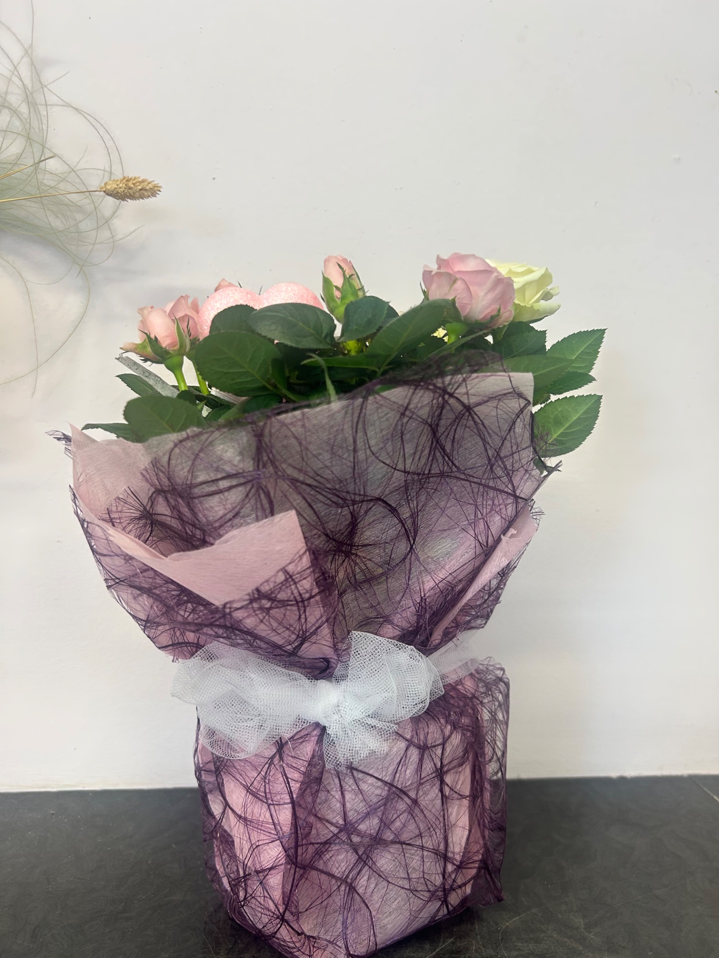 Pianta rosa